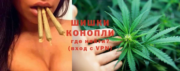 ПСИЛОЦИБИНОВЫЕ ГРИБЫ Верхний Тагил