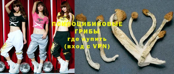 ГАЛЛЮЦИНОГЕННЫЕ ГРИБЫ Верхнеуральск