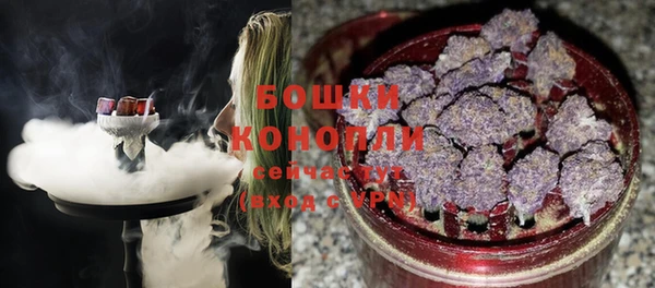 амф Верея